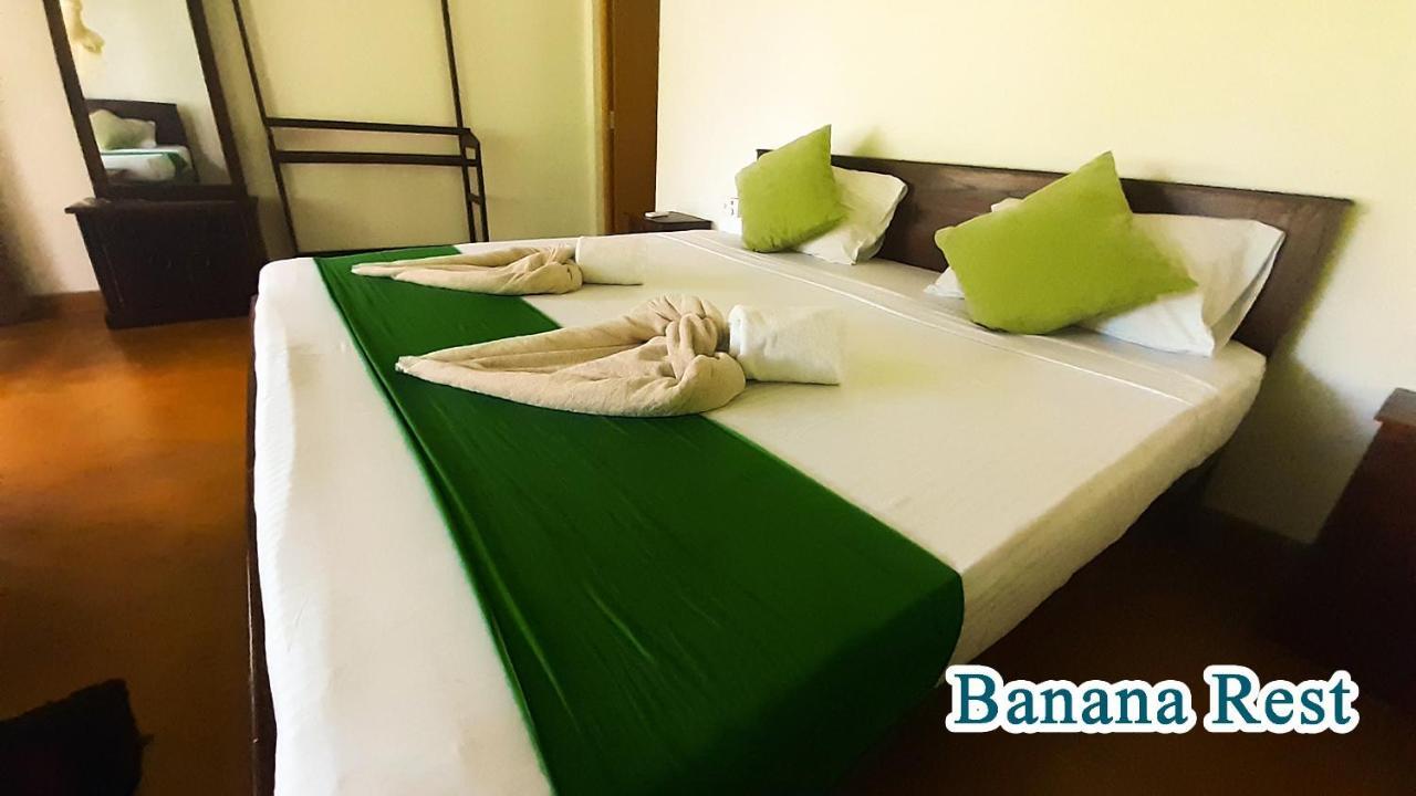 Banana Rest Sigiriya Panzió Kültér fotó