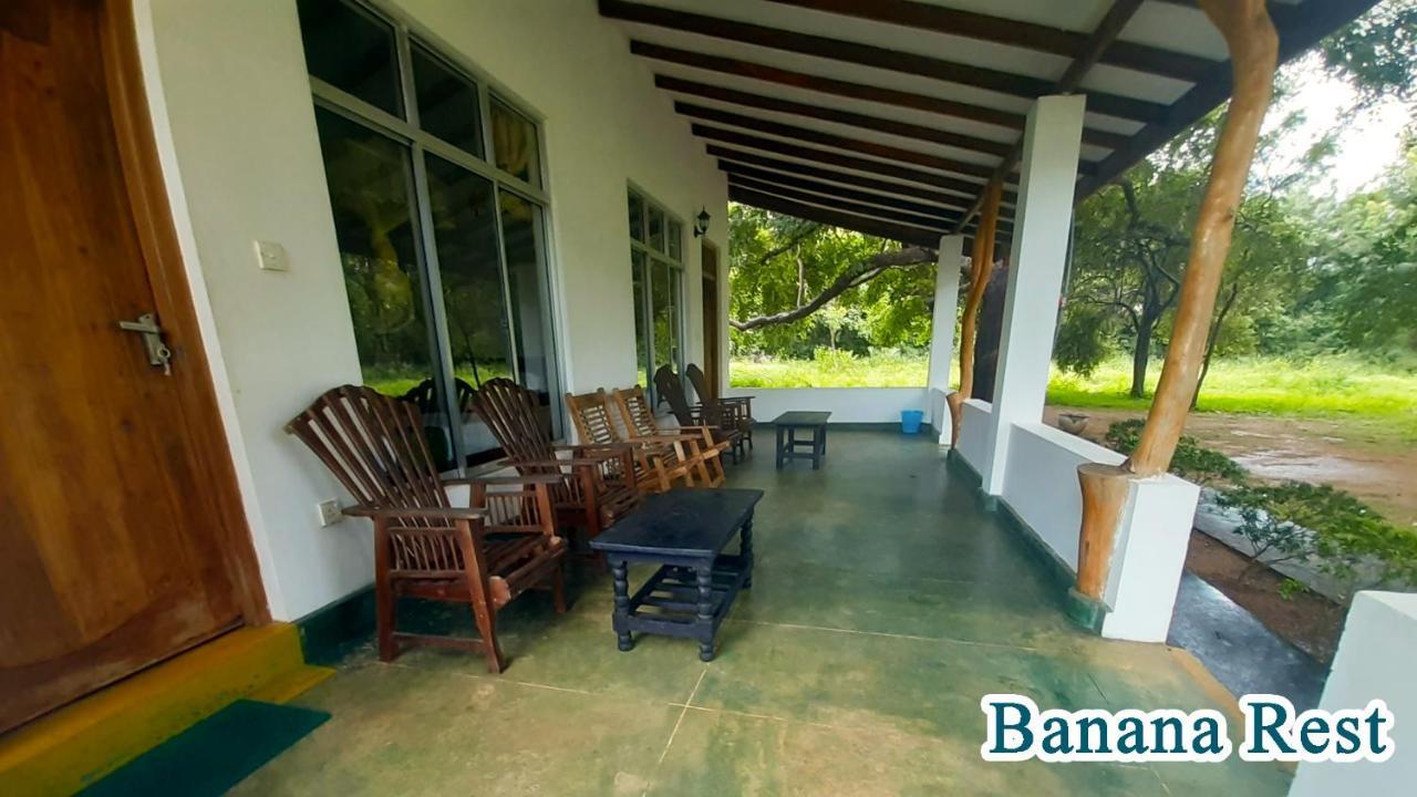 Banana Rest Sigiriya Panzió Kültér fotó